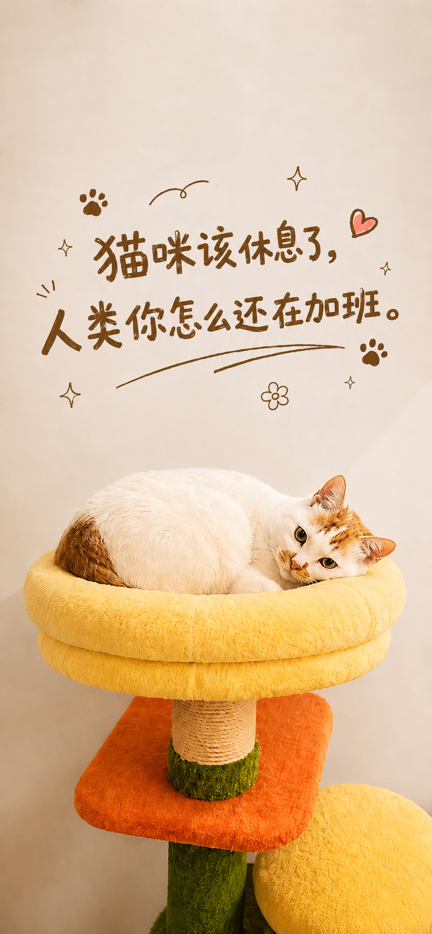 猫咪与黄昏