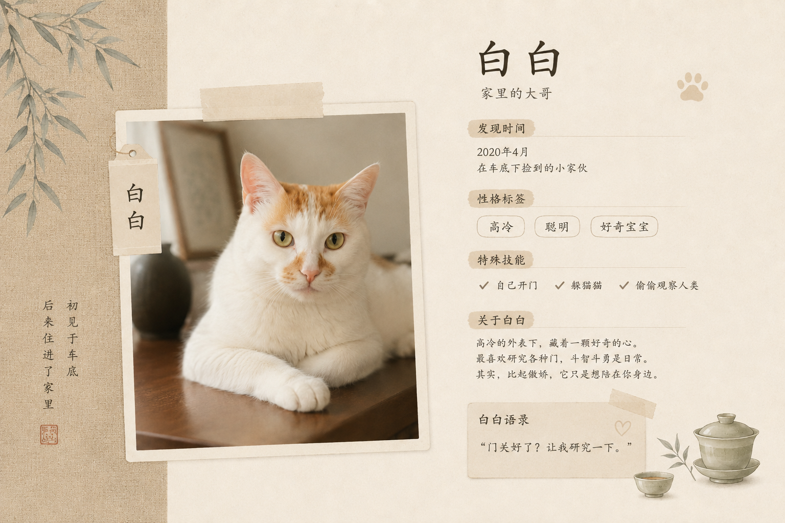 蛋白|白白