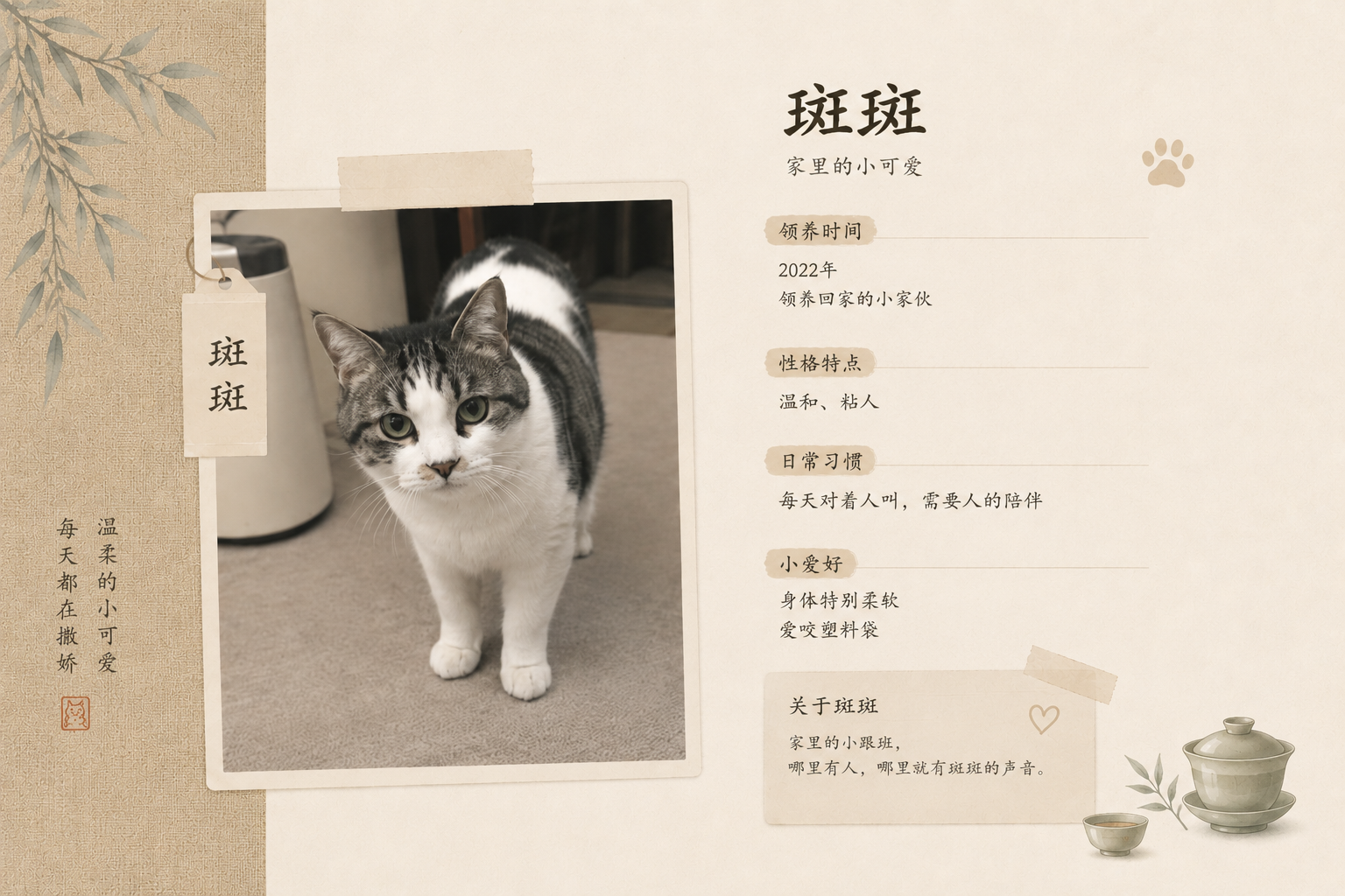 斑斑